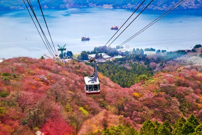駒ヶ岳ロープウェイ | 神奈川 箱根 人気スポット
