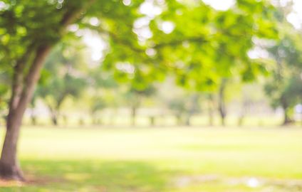 名城公園 名城公園